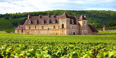 Typical French vineyard and chateau Château viticole à visiter pour un weekend près de Dijon