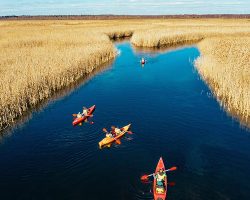 Un groupe d'amis faisant du kayak.