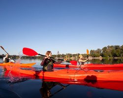 Des amis s'amusent sur des canoes.
